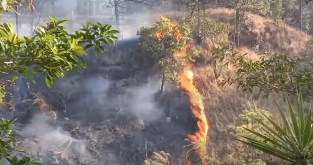 Varias Hect Reas De Bosque Se Consumen En El Sector De El Lim N En La