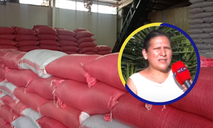 Por falta del grano nacional la compra de frijol nicaragüense es