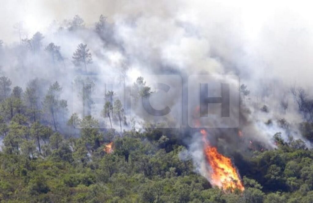 Se Quema Celaque Numerosas Hect Reas De Bosque Han Sido Arrasadas En