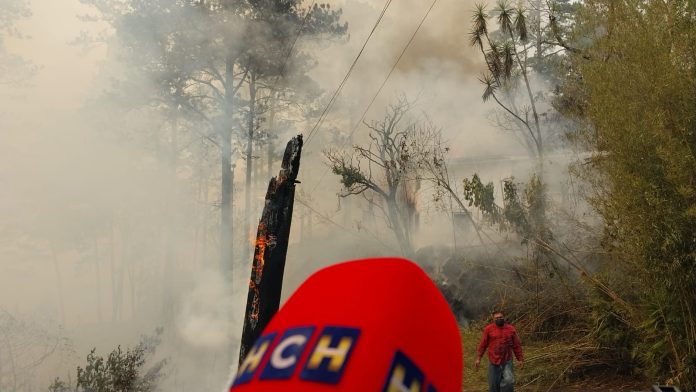 Sigue Destrucci N Cerca De Hect Reas De Bosque Han Sido