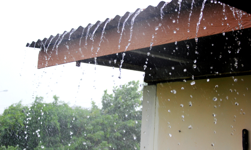 Vaguada dejará lluvias con actividad eléctrica hoy en sectores de