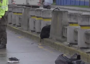 ¡Tragedia! Motociclista perece tras derrapar e impactar con base de concreto en SPS