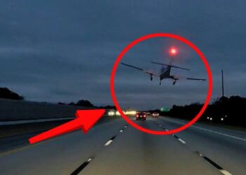 VIDEO: ¡Impactante! Una avioneta aterriza de emergencia en una carretera de Florida y choca con un auto