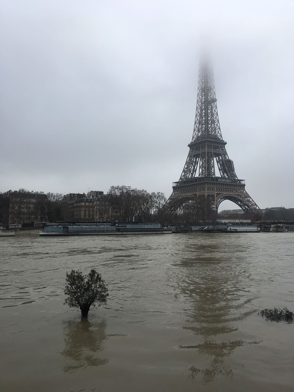 La Torre Eiffel, observada desde la otra orilla del Sena (foto: Agustina Ordoqui)