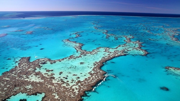 La Gran Barrera de Coral es una de las siete maravillas naturales del mundo (Shutterstock)