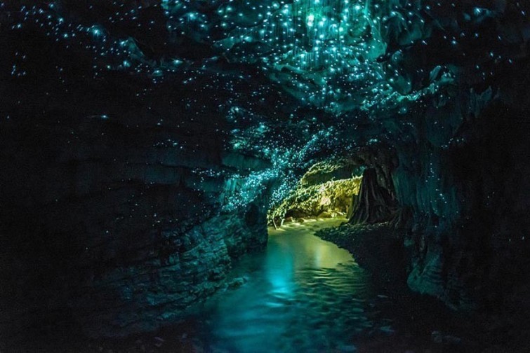 lugares de otro mundo cuevas bioluminiscentes
