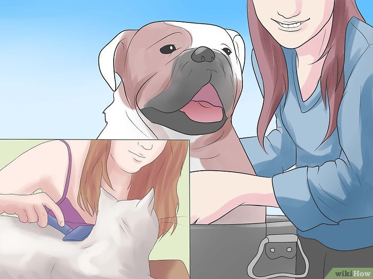 Imagen titulada Reduce Dust in Your House Step 13