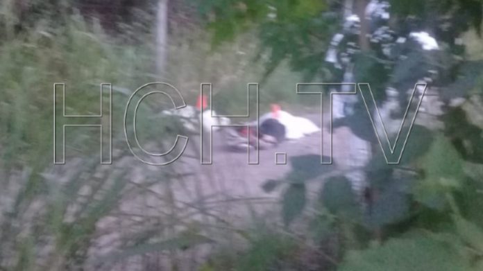 Una Pareja Serían Las Dos Personas Muertas En El Sector De Los Laureles De La Capital Hchtv 9731