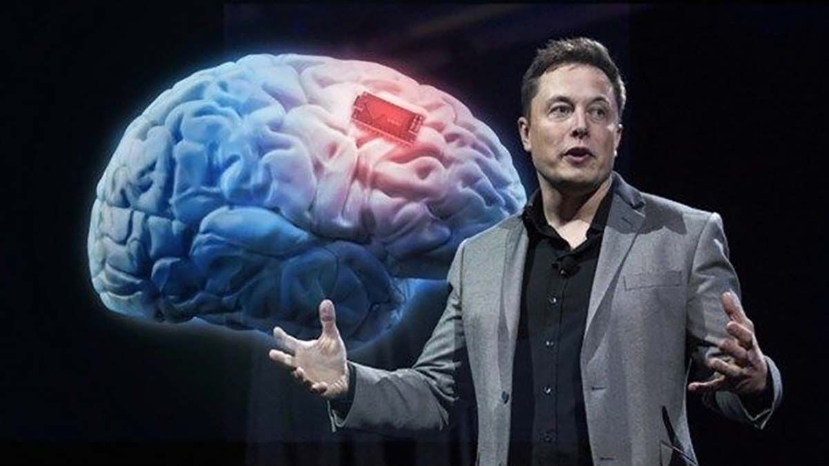 Neuralink Elon Musk Presentó Su Plan Para Implantar Chips En El Cerebro Hchtv