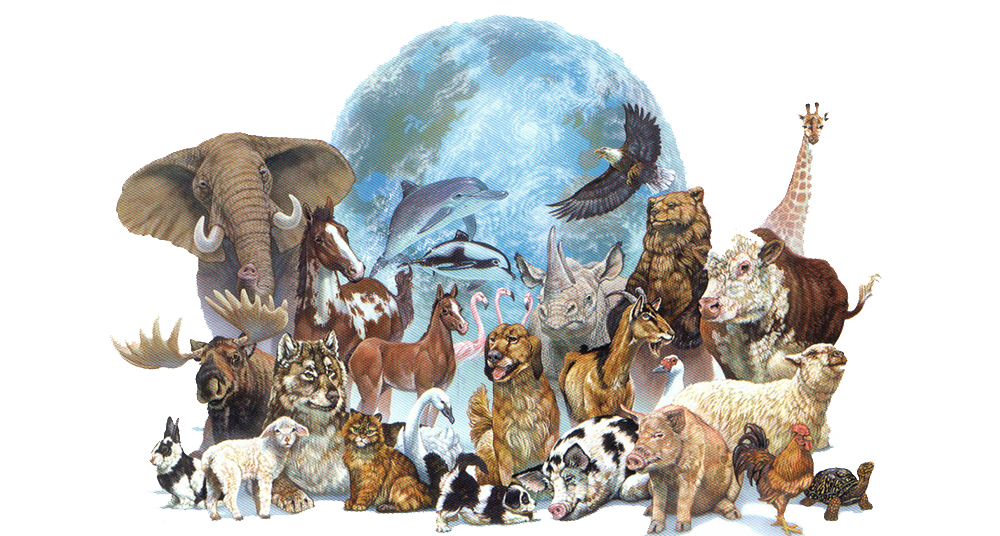 Día Mundial de los Animales ¿por qué se conmemora el 4 de octubre