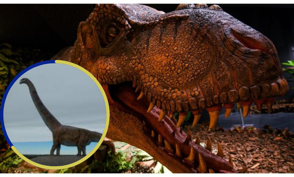Científicos aseguran que dinosaurios dominaron la Patagonia 