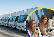 CNE rompe la incertidumbre y adjudica transporte electoral en plena recta final