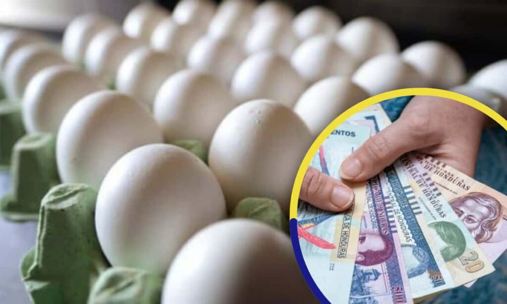 Cinco lempiras suben el cartón de huevos para las torrejas y el rompopo