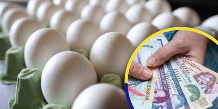 Cinco lempiras suben el cartón de huevos para las torrejas y el rompopo