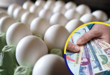 ¡Trancazo navideño! Cinco lempiras sube el cartón de huevos para las torrejas y el rompopo