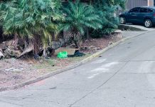 ¡Brutal! Ejecutado dejan a hombre en calle de colonia La Esperanza en TGU