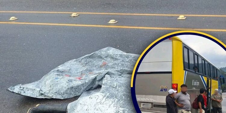 ¡Lamentable! Hombre perece arrollado por bus en la CA-5, Taulabé