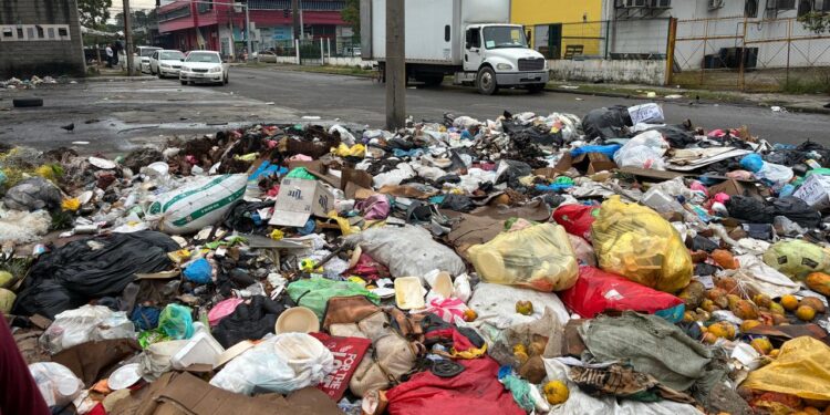 ¡Chanchada! Cerros de basura “adornan” San Pedro Sula por falta de recolección