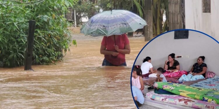 ¡La dura y eterna realidad! Inundaciones y familias damnificadas por torrenciales lluvias en la zona norte