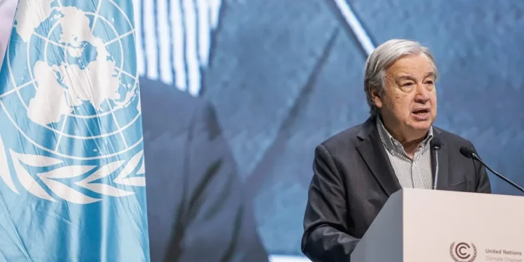 La ONU dice que la junta de paz de Trump en Gaza es «amorfa» y respalda su labor solo en la Franja