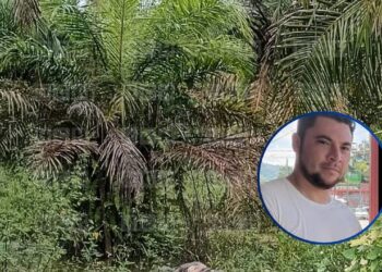 Putrefacto hallan cadáver de “Romario” en finca de palma de Esparta, Atlántida