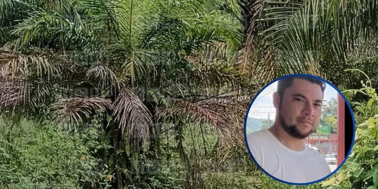 Putrefacto hallan cadáver de “Romario” en finca de palma de Esparta, Atlántida