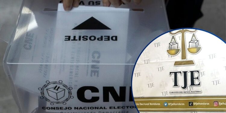 TJE admite siete recursos de apelación y rechaza cinco a nivel de alcaldes y diputados