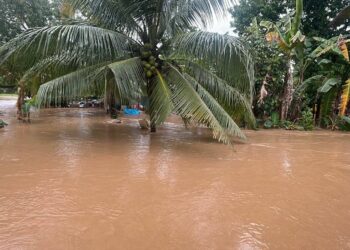 ¡Por lluvias! Incomunicadas más de 30 comunidades en Tela: la municipalidad decretará emergencia