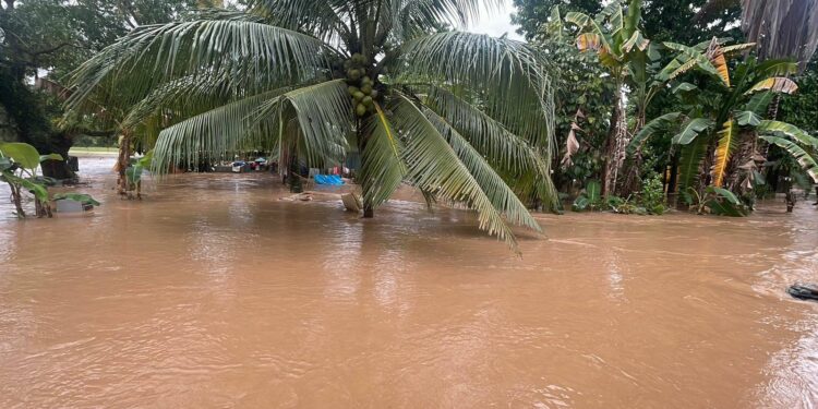 ¡Por lluvias! Incomunicadas más de 30 comunidades en Tela: la municipalidad decretará emergencia