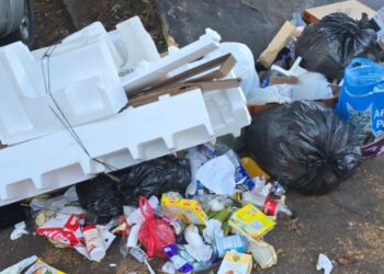 ¡Puercada! Inundada de basura la capital por falta de recolección municipal
