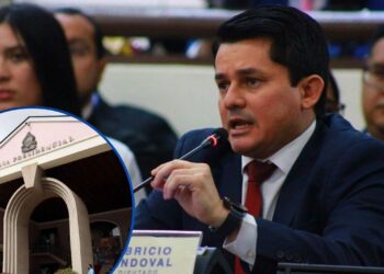 Libre interpondrá recurso de inconstitucionalidad contra la Ley de Reactivación Económica