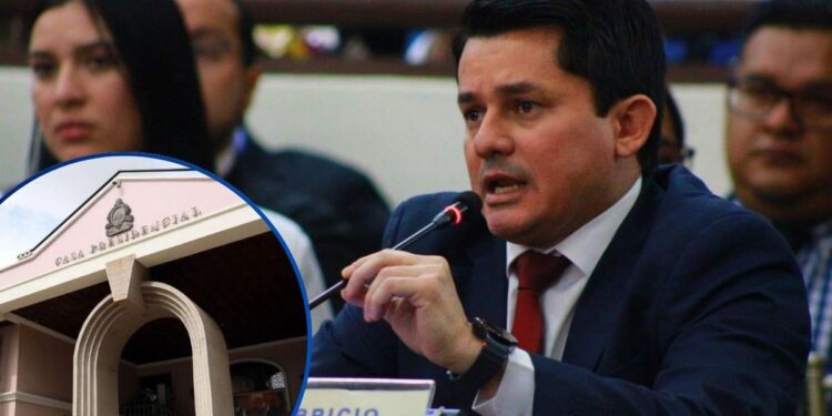 Libre interpondrá recurso de inconstitucionalidad contra la Ley de Reactivación Económica