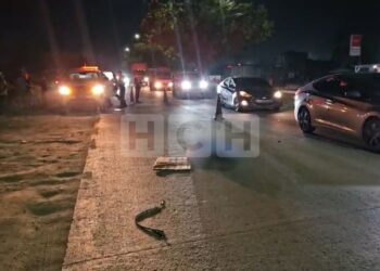 Mujer perece atropellada al intentar cruzar el bulevar del este | Móvil Emergencia SPS