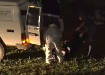 Sin vida encuentran a hombre cerca de la empresa donde trabajaba | Móvil Emergencia SPS