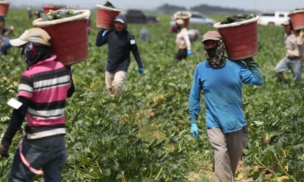 Remesas de Estados Unidos reducen pobreza