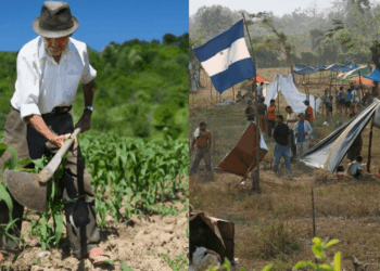 Sector Agroindustrial Invasion de tierras