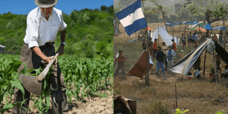 Sector Agroindustrial Invasion de tierras