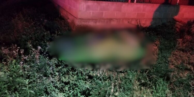 Tras perseguirlos ultiman a dos jóvenes en Güinope | Móvil Emergencia TGU