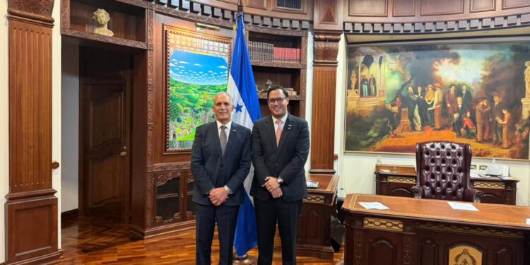 Raúl Valladares Pavón, el joven liberal que estará en el gobierno de Asfura como director interino del INJUPEMP