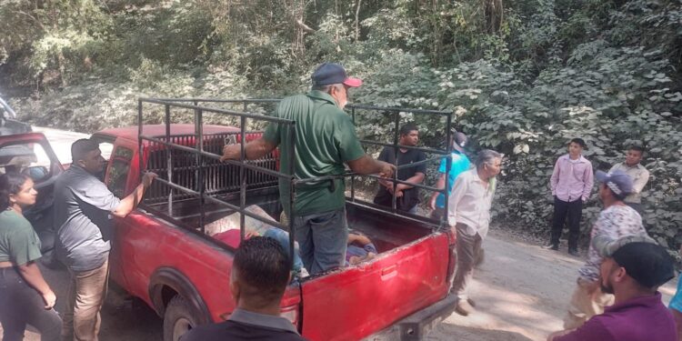 Dos fallecidos y una embarazada herida tras fuerte choque en La Unión
