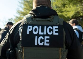 ice estados unidos