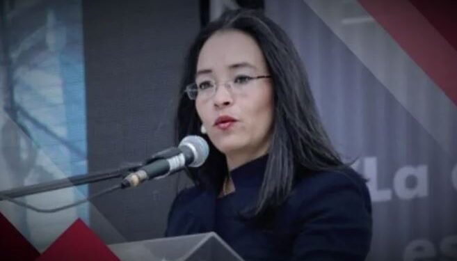 Gabriela Castellanos insiste en aplicar juicio político para altos cargos que socavaron la democracia
