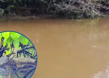 ¡Dantesco! Flotando en un río encuentran cadáver en la aldea La Colman en Baracoa, Cortés