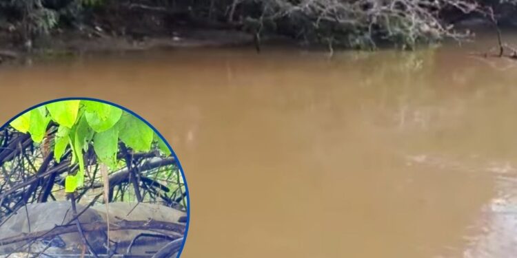 ¡Dantesco! Flotando en un río encuentran cadáver en la aldea La Colman en Baracoa, Cortés