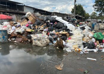 ¡Puercada! San Pedro Sula ahogada en basura: montañas de desperdicios adornan mercado “El Dandy”