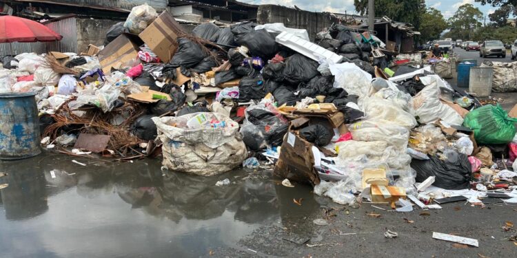 ¡Puercada! San Pedro Sula ahogada en basura: montañas de desperdicios adornan mercado “El Dandy”