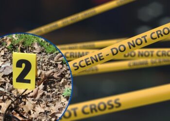 ¡Sálvese quien pueda! Más de 300 muertes violentas se registran en lo que va de 2026, según OV-UNAH