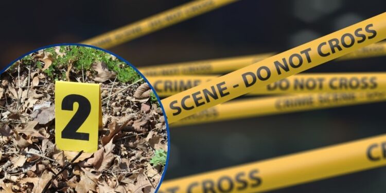 ¡Sálvese quien pueda! Más de 300 muertes violentas se registran en lo que va de 2026, según OV-UNAH