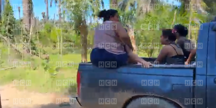 ¡Lamentable! Un hombre de 50 años de edad pierde la vida de forma violenta dentro de una finca de palma en Tocoa, Colón