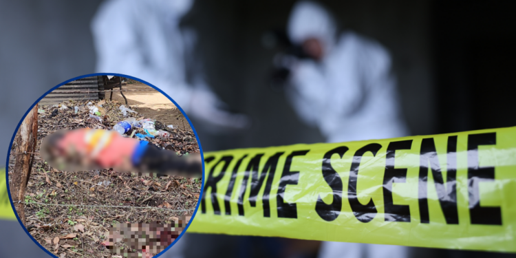 ¡No íbamos bien y estamos empeorando! A machetazos le arrebatan la vida a un hombre en la comunidad Nombre de Jesús de Olanchito